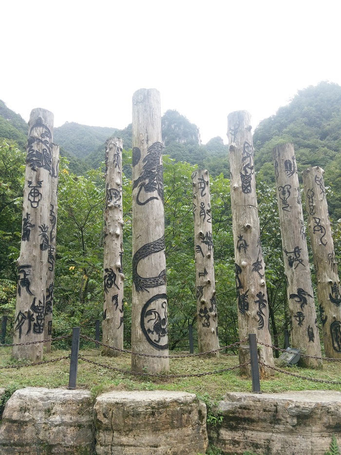 63b9746127708.jpg 17.jpg